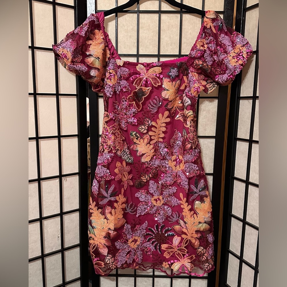 Floral Embroidered Dress with Puff Sleeves